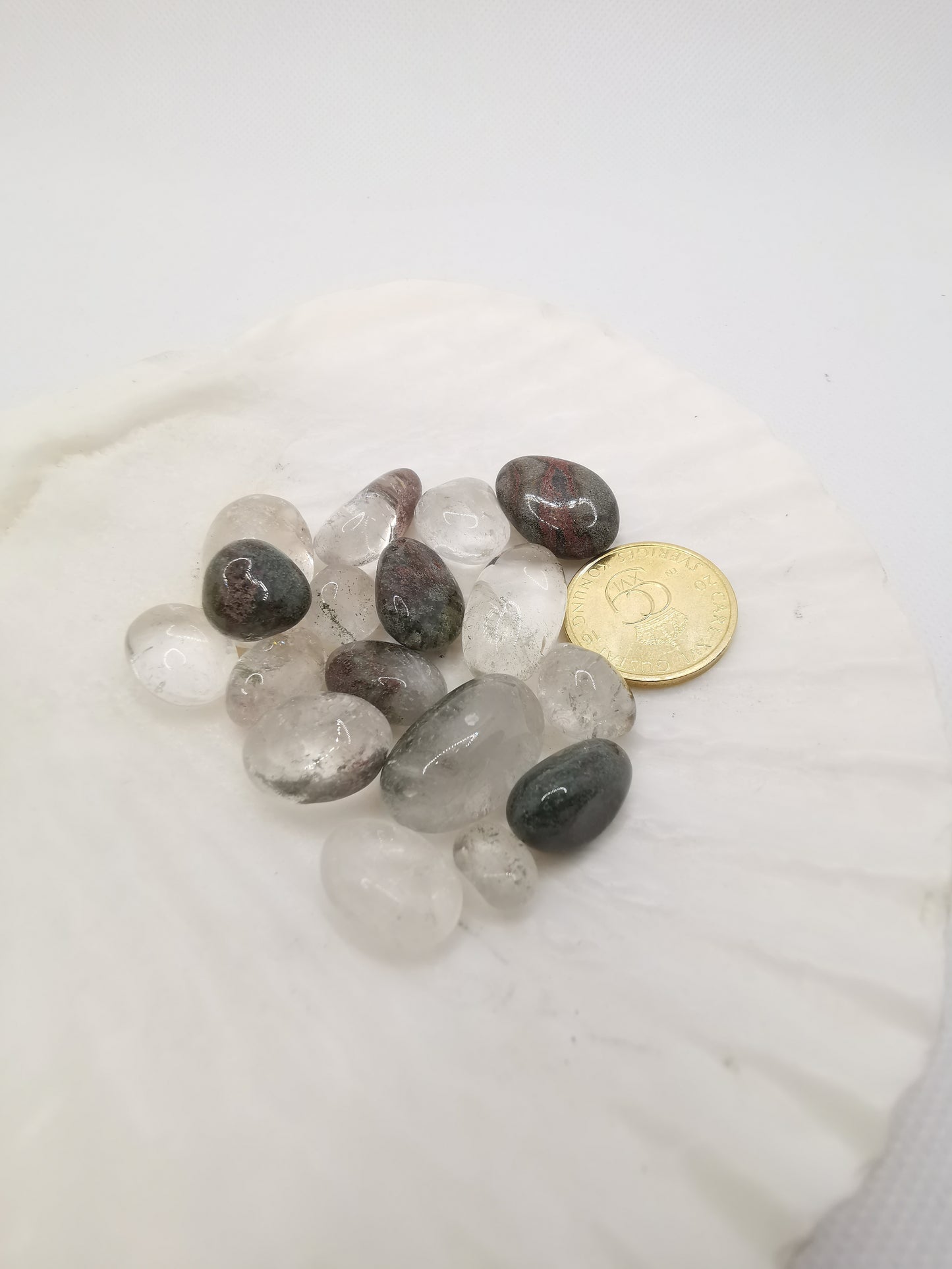 Trädgårdskvarts (Lodolit) – För Manifestation och Tillväxt