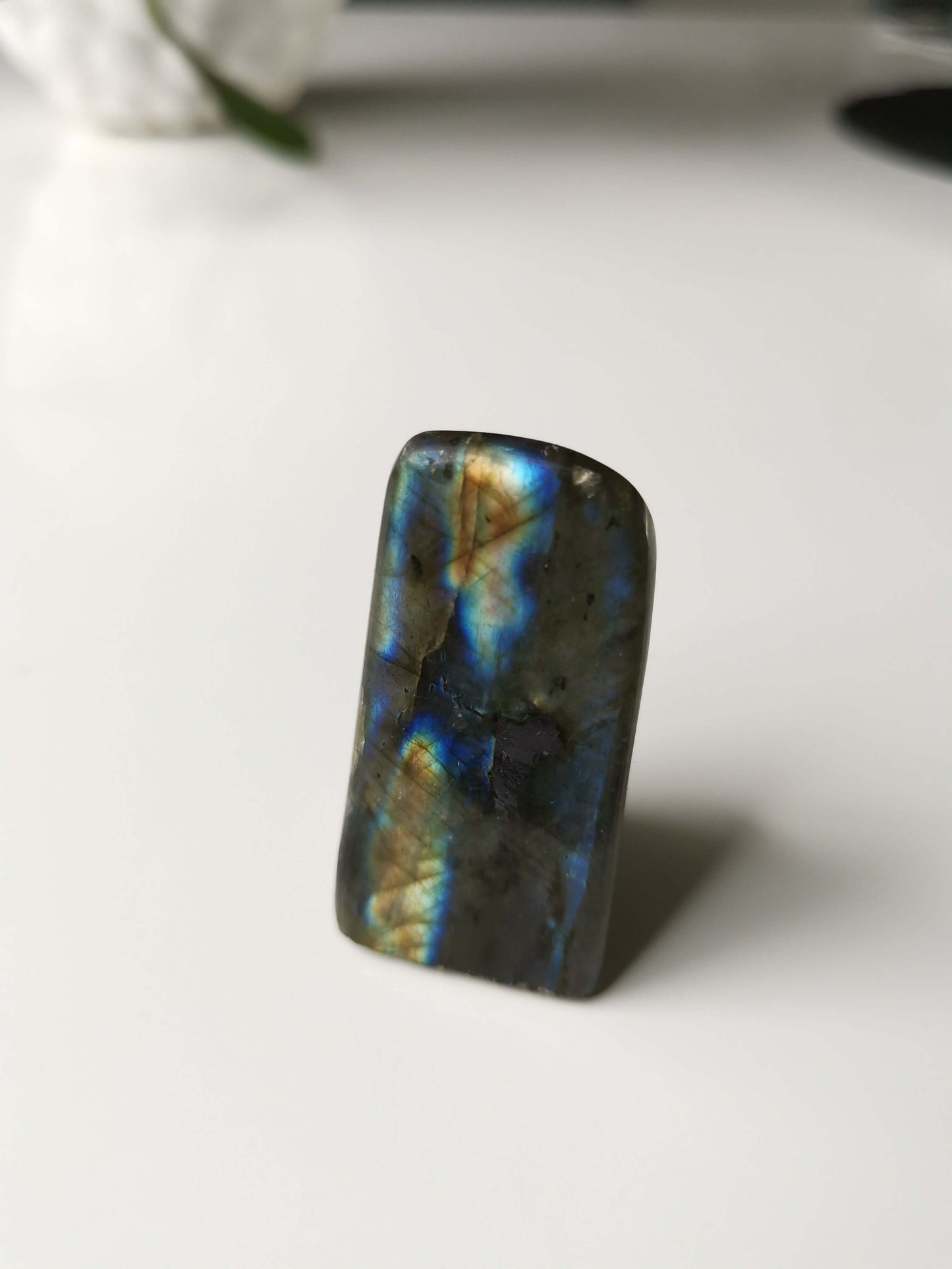 #4  Labradorit Freeform