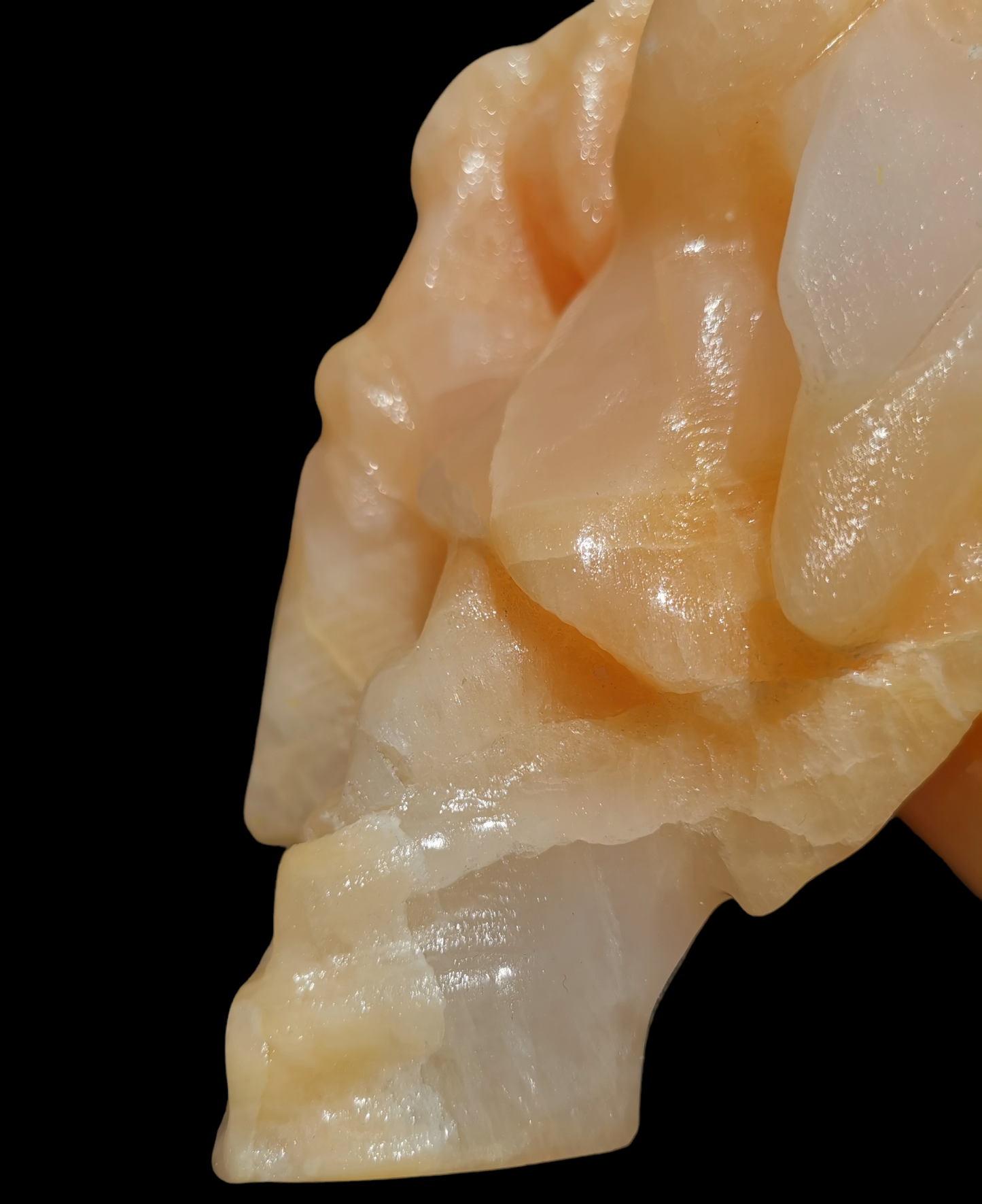 Drakskalle i orange kalcit