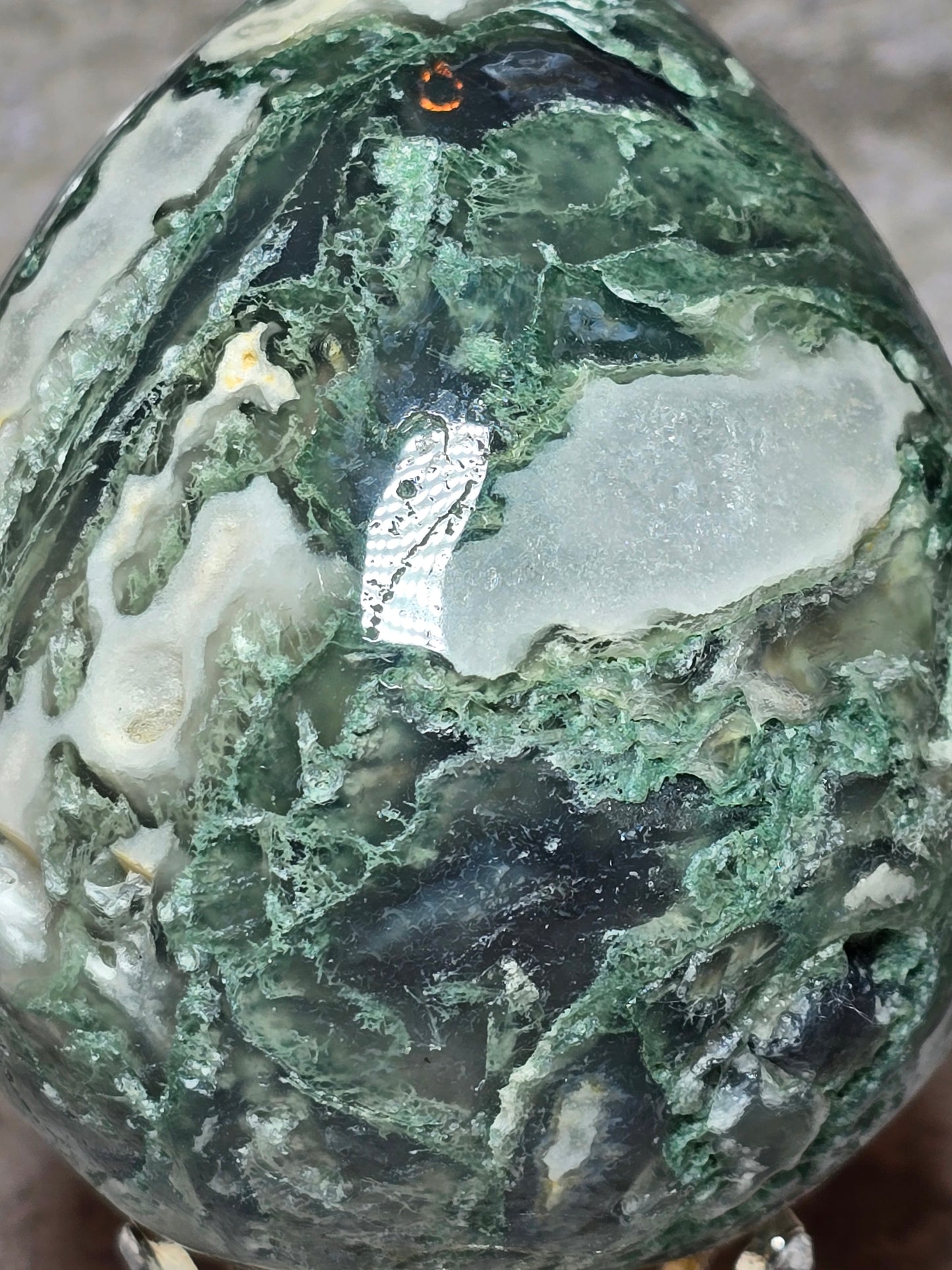 Mossagat Ägg – För Stabilitet och Nystart, F