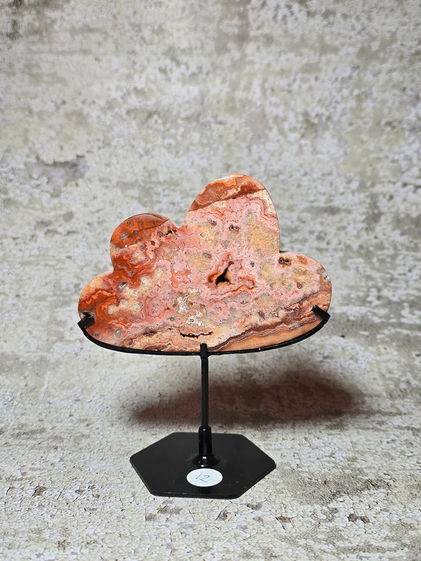 Rosa Crazy lace moln#12