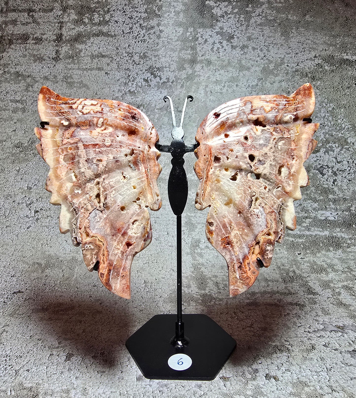 Rosa Crazy lace fjäril#6