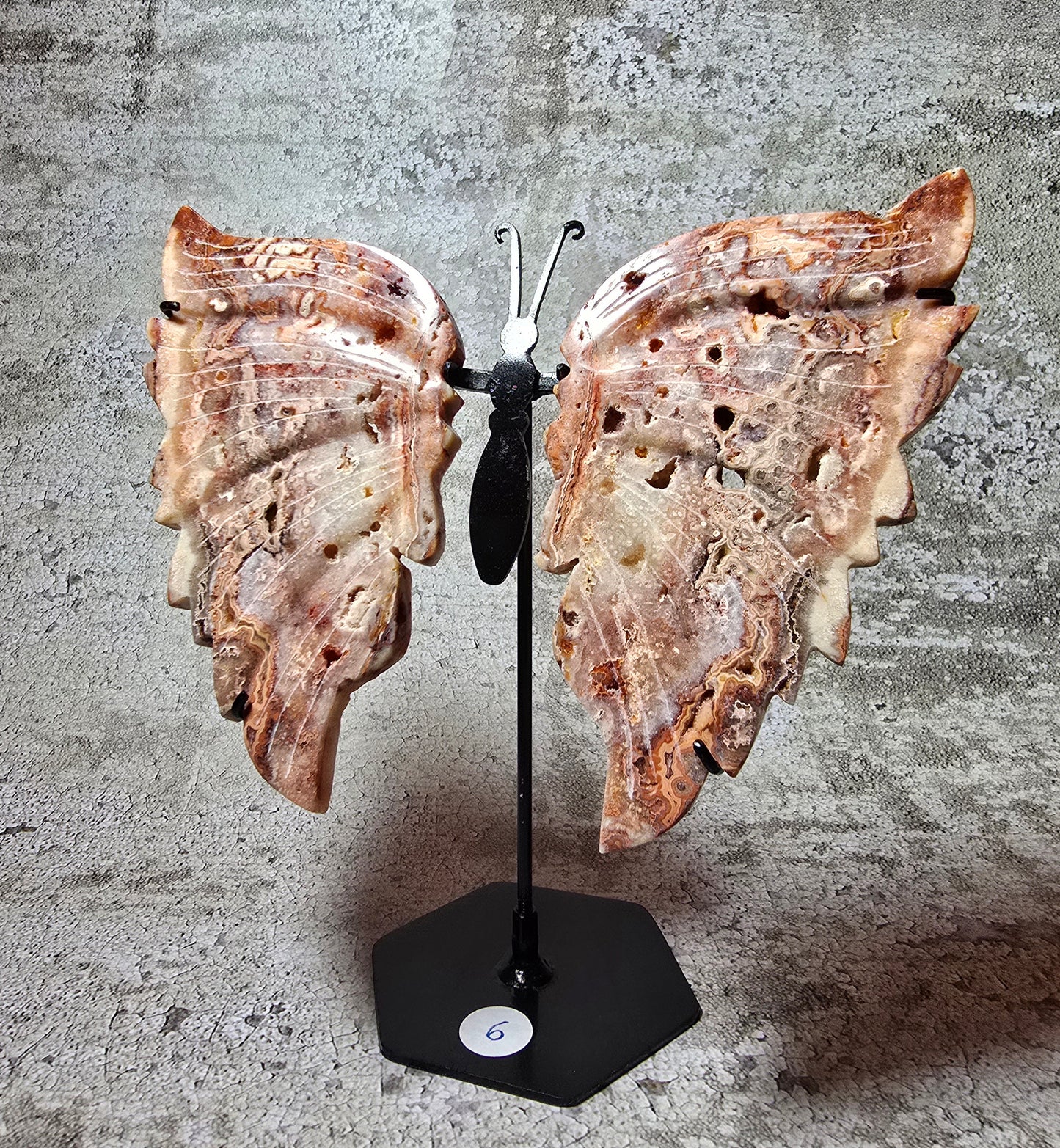 Rosa Crazy lace fjäril#6