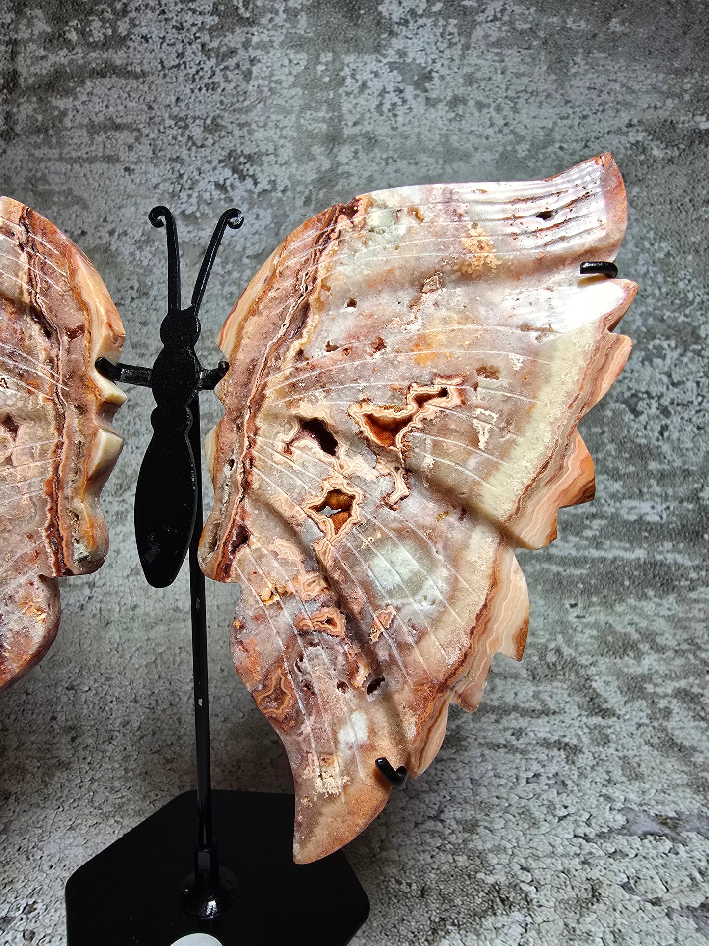 Rosa Crazy lace fjäril#3