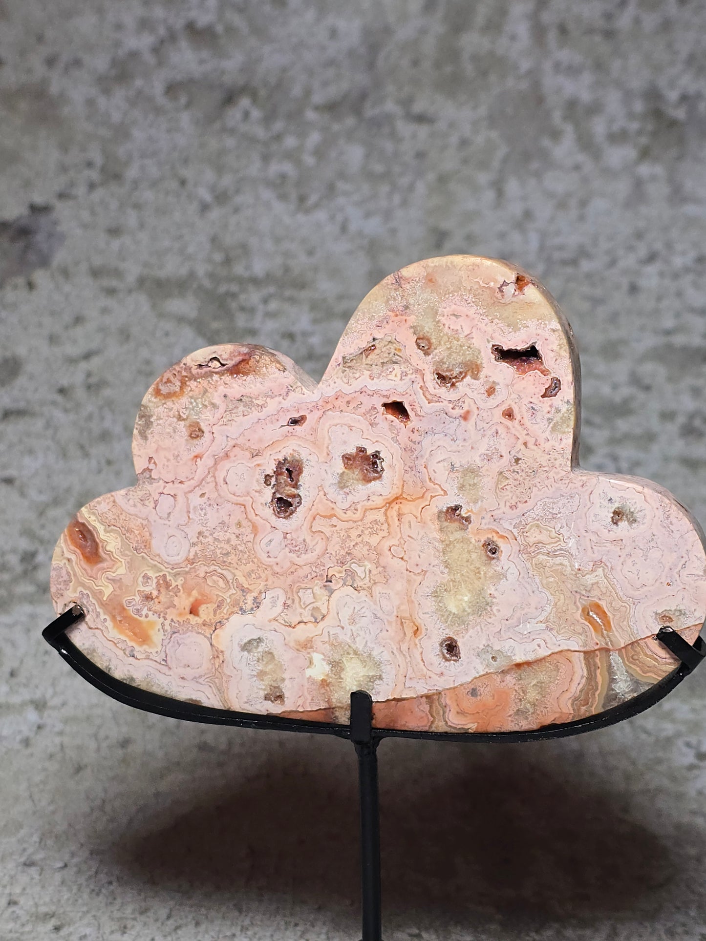 Rosa Crazy lace moln#9