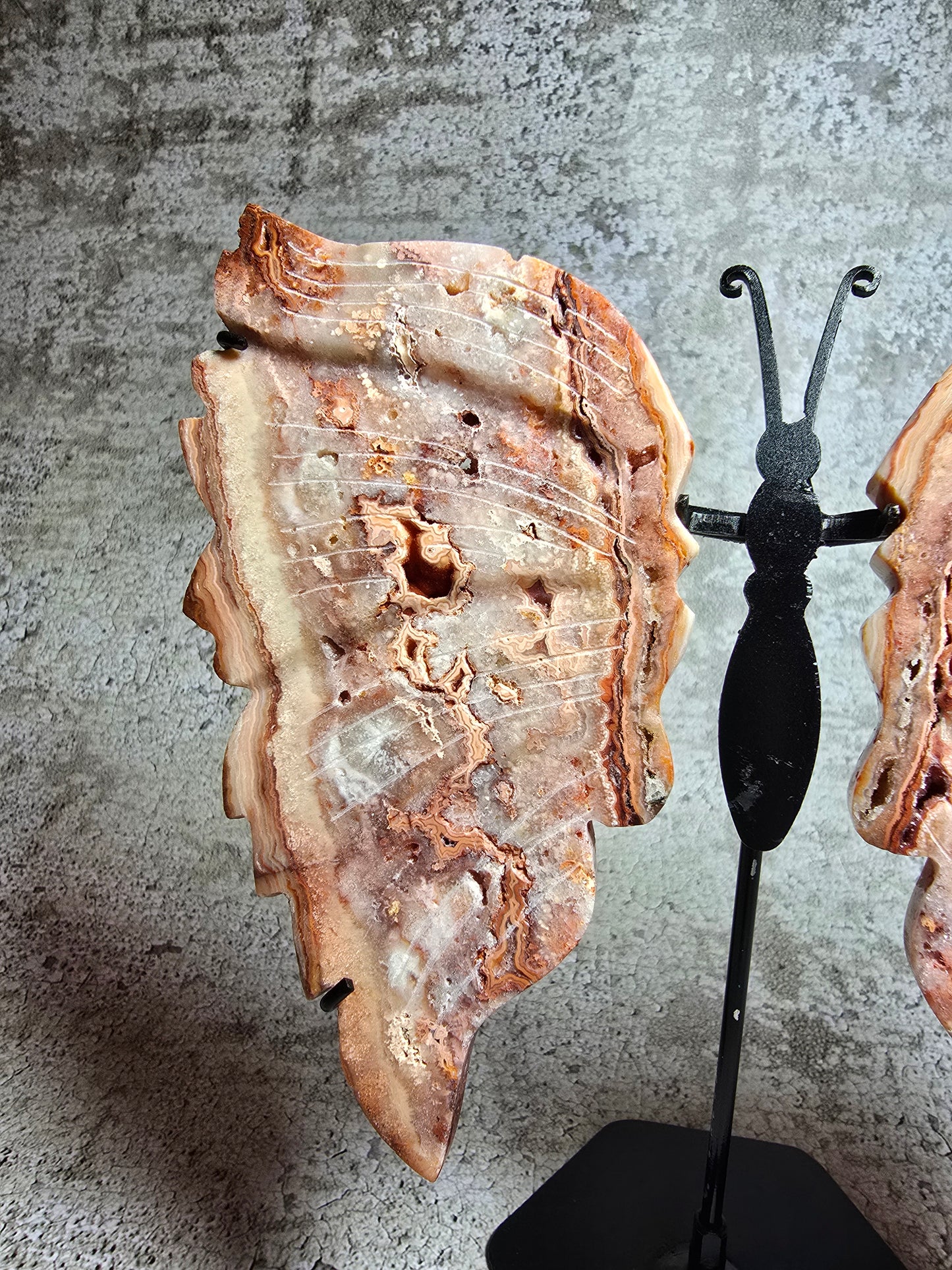 Rosa Crazy lace fjäril#3