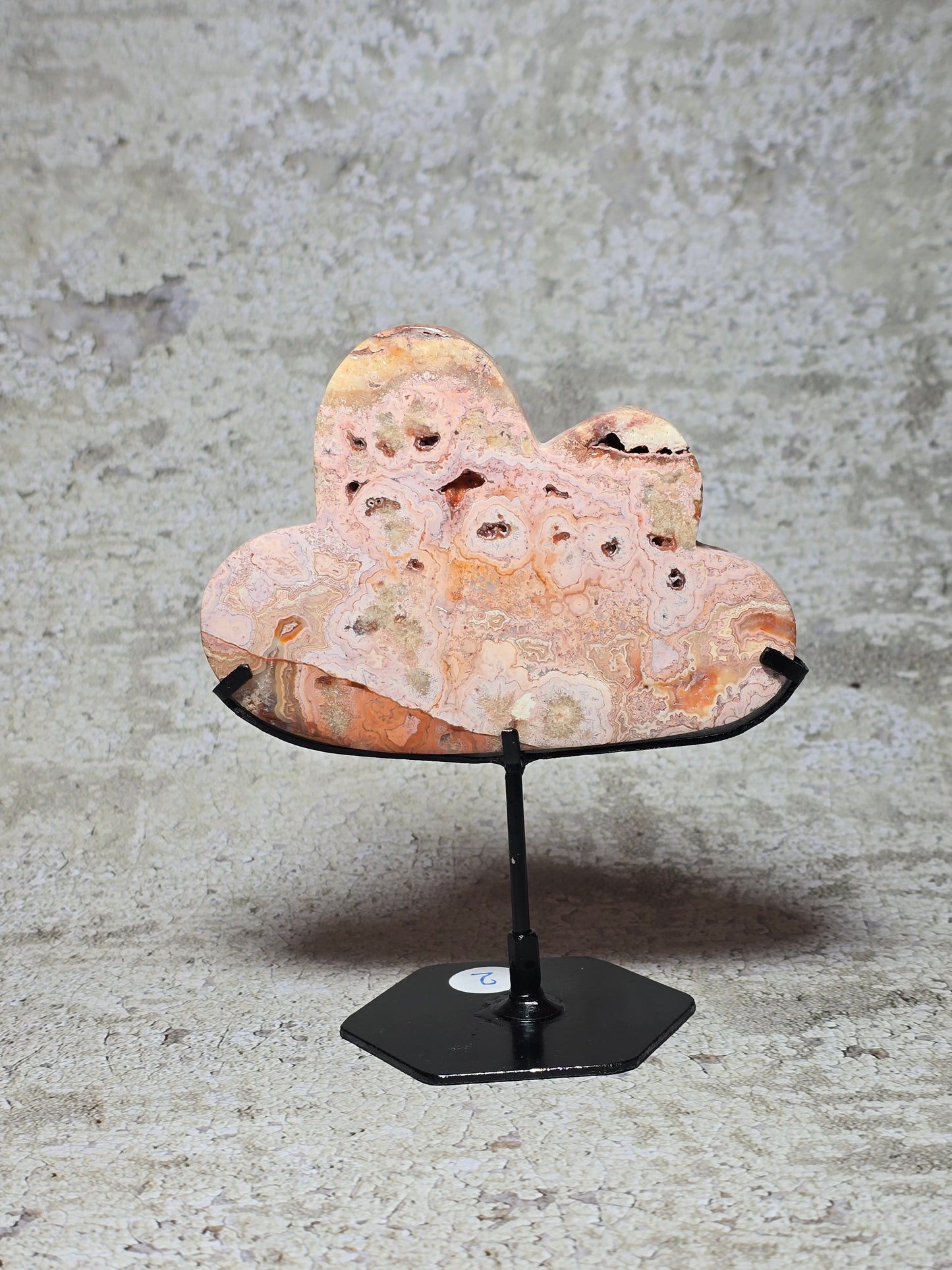 Rosa Crazy lace moln#2