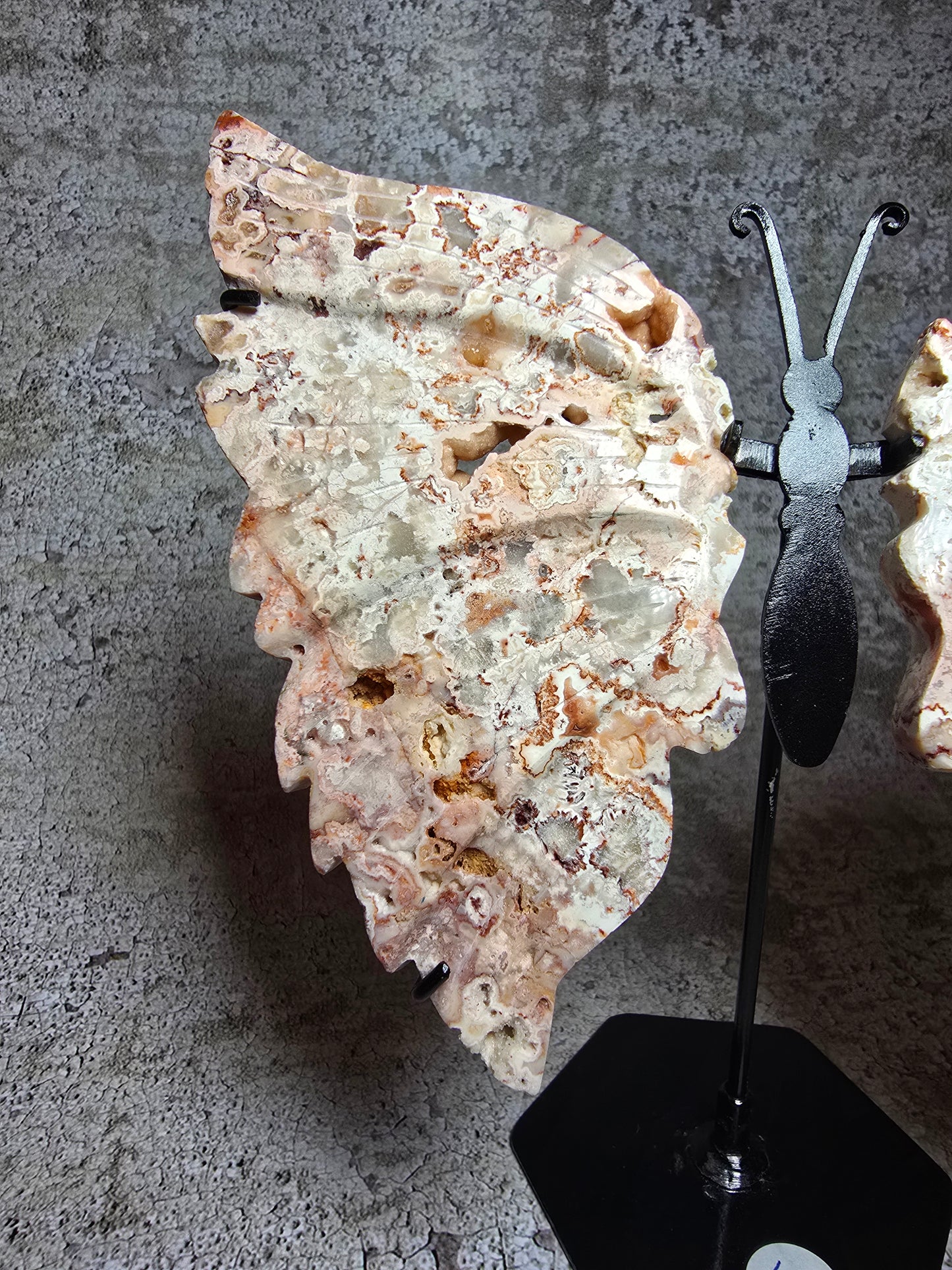 Rosa Crazy Lace Agat – Handkarvad Fjäril av Transformation #13