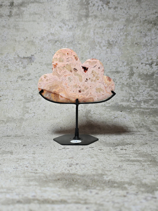 Rosa Crazy lace moln#9