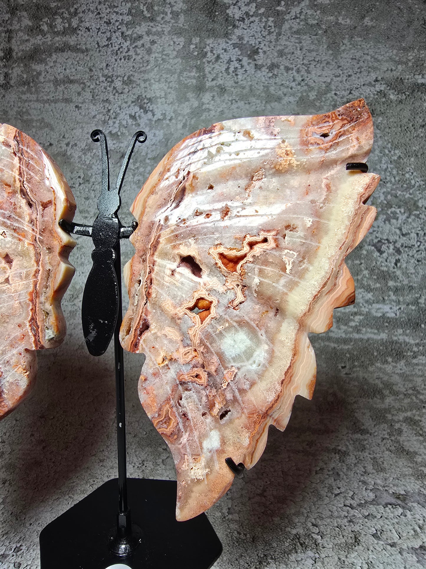 Rosa Crazy lace fjäril#3