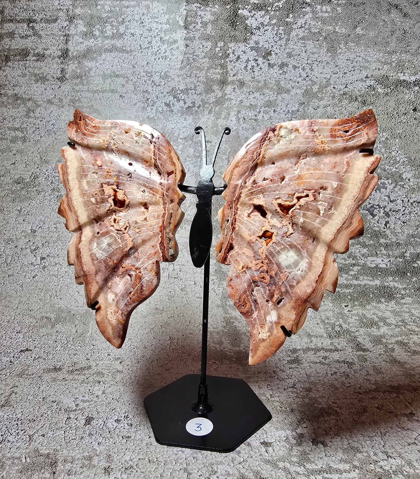 Rosa Crazy lace fjäril#3