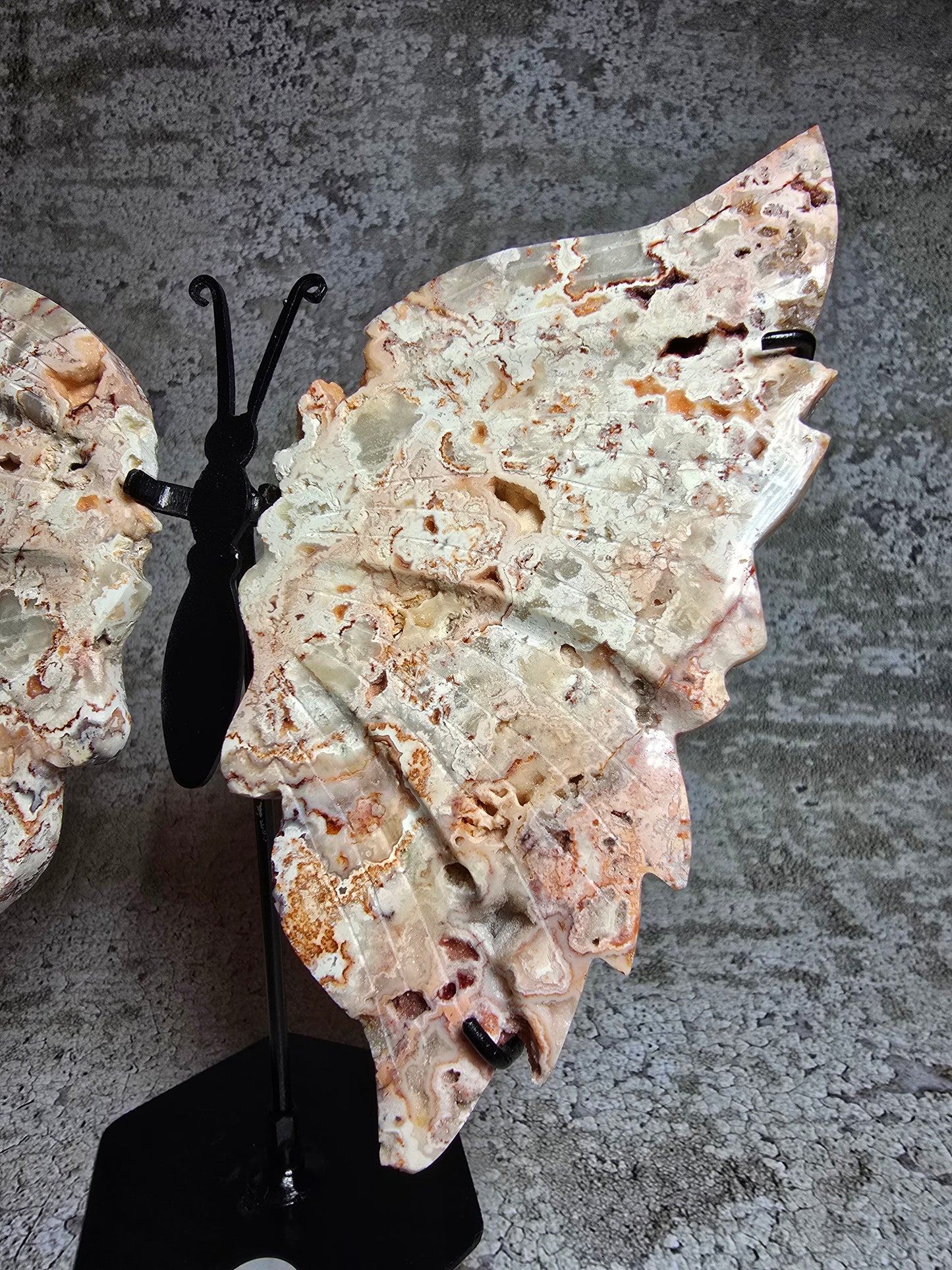 Rosa Crazy Lace Agat – Handkarvad Fjäril av Transformation #13