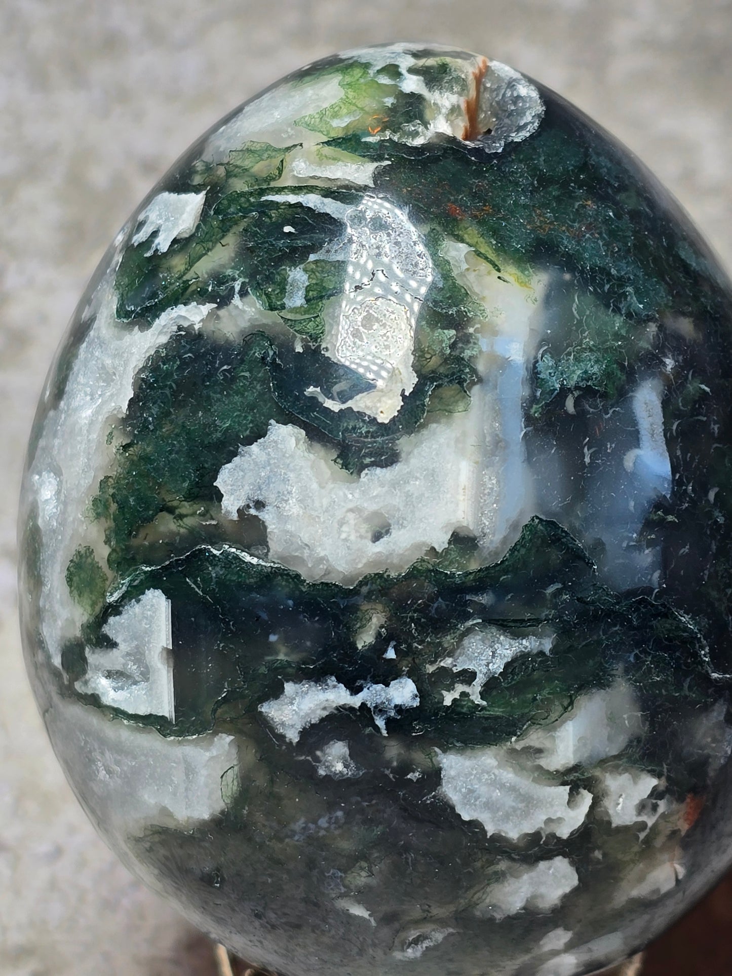 Mossagat Ägg – För Stabilitet och Nystart, A