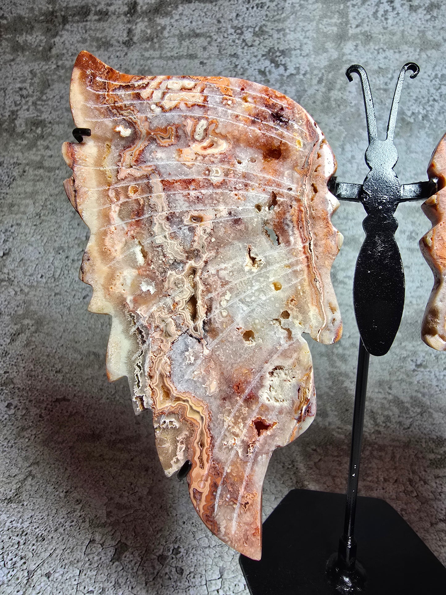 Rosa Crazy lace fjäril#6