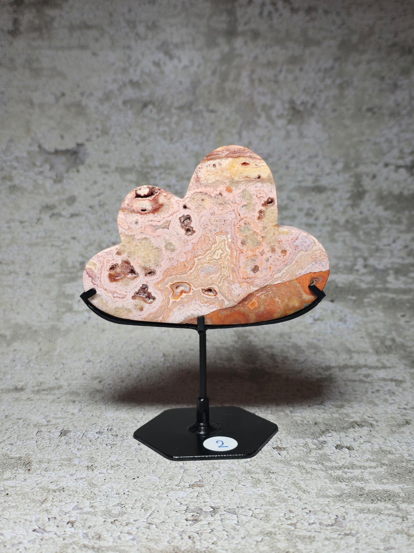 Rosa Crazy lace moln#2