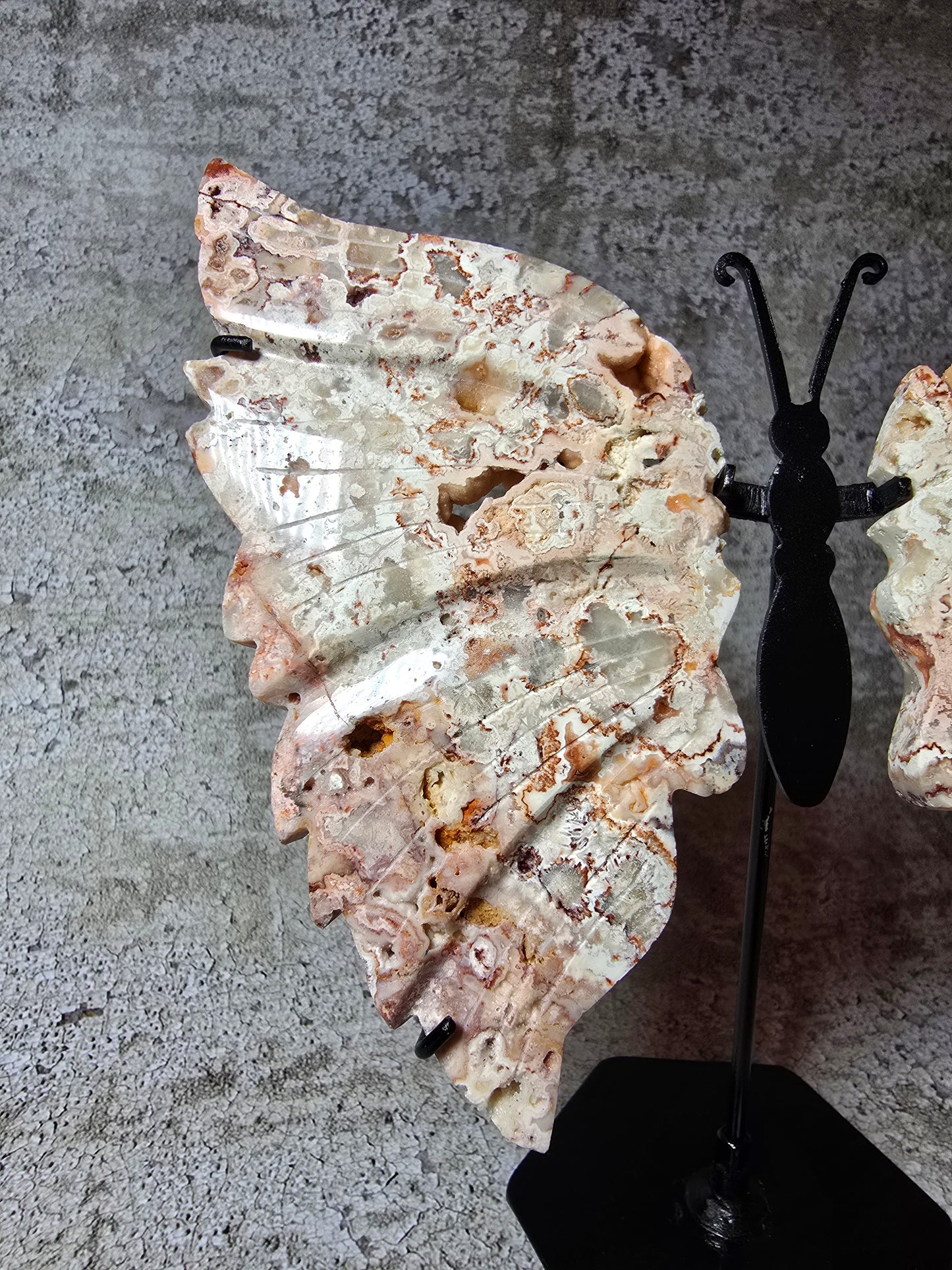 Rosa Crazy Lace Agat – Handkarvad Fjäril av Transformation #13