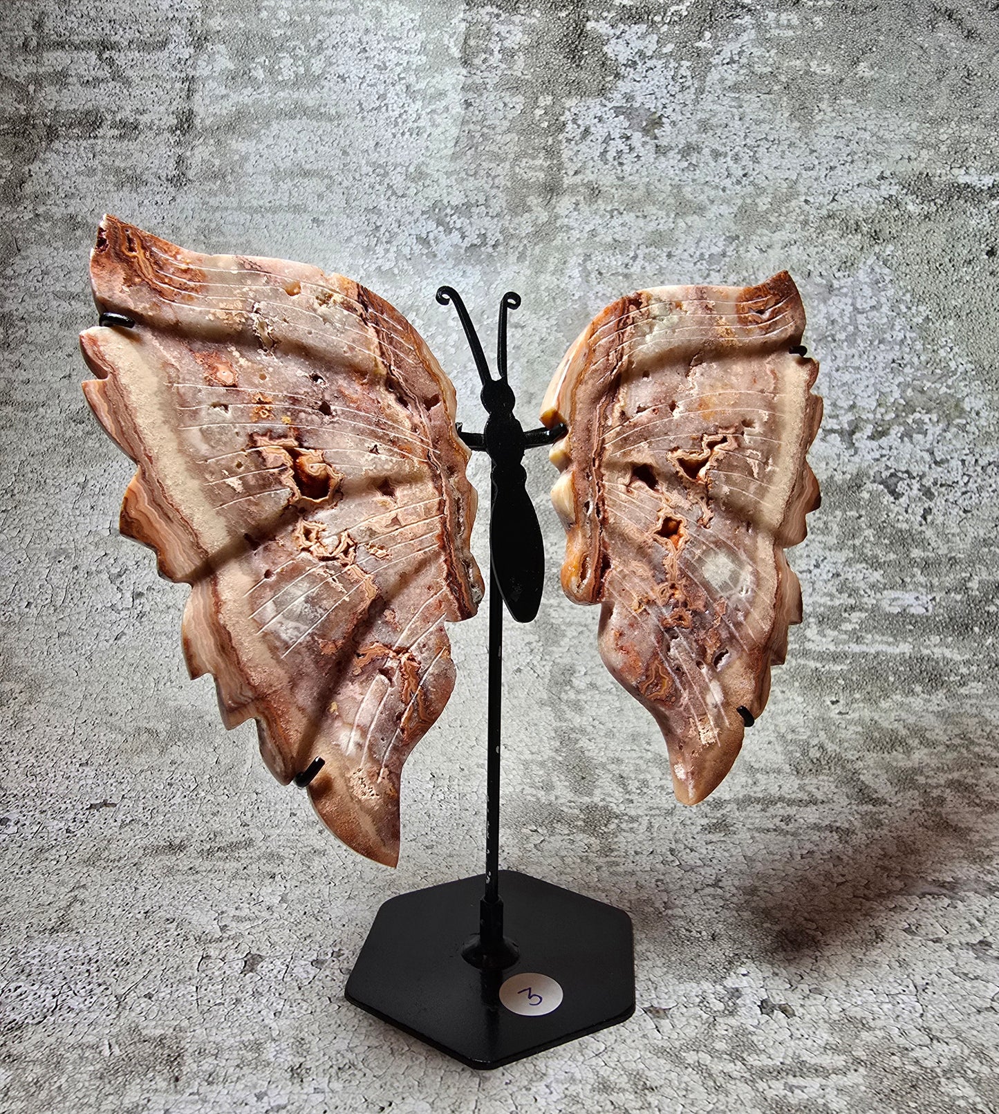 Rosa Crazy lace fjäril#3