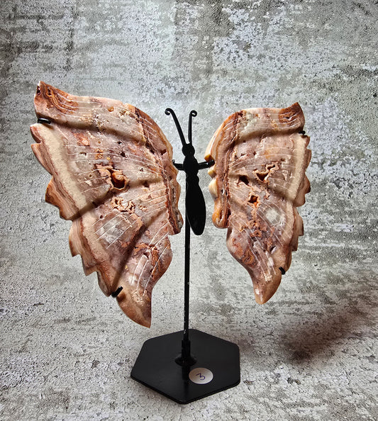 Rosa Crazy lace fjäril#3