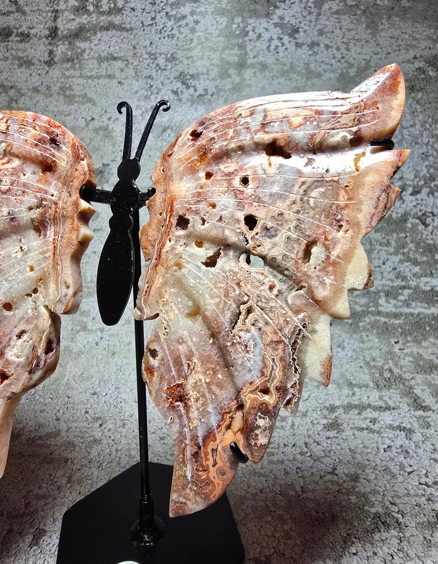 Rosa Crazy lace fjäril#6