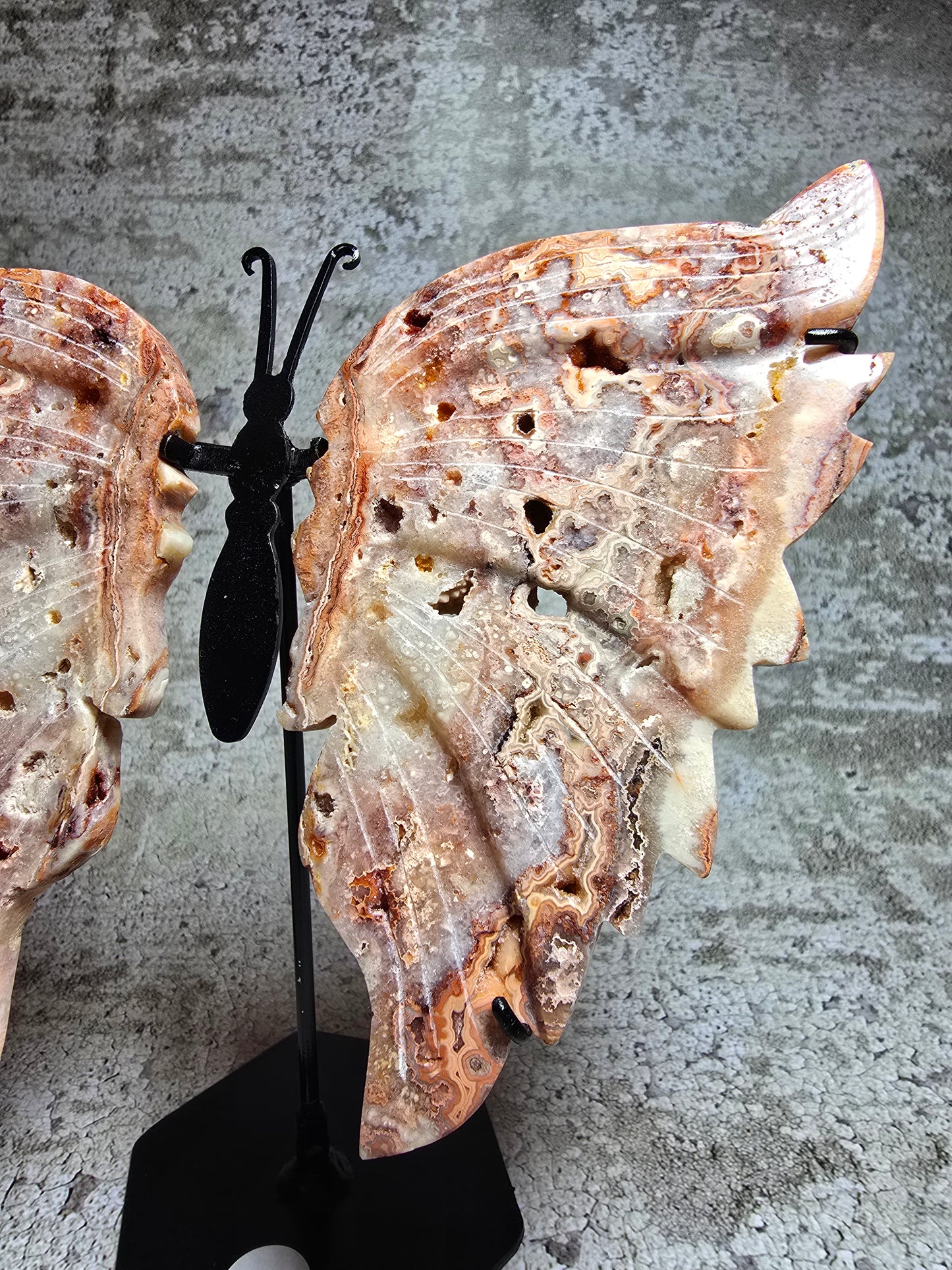 Rosa Crazy lace fjäril#6