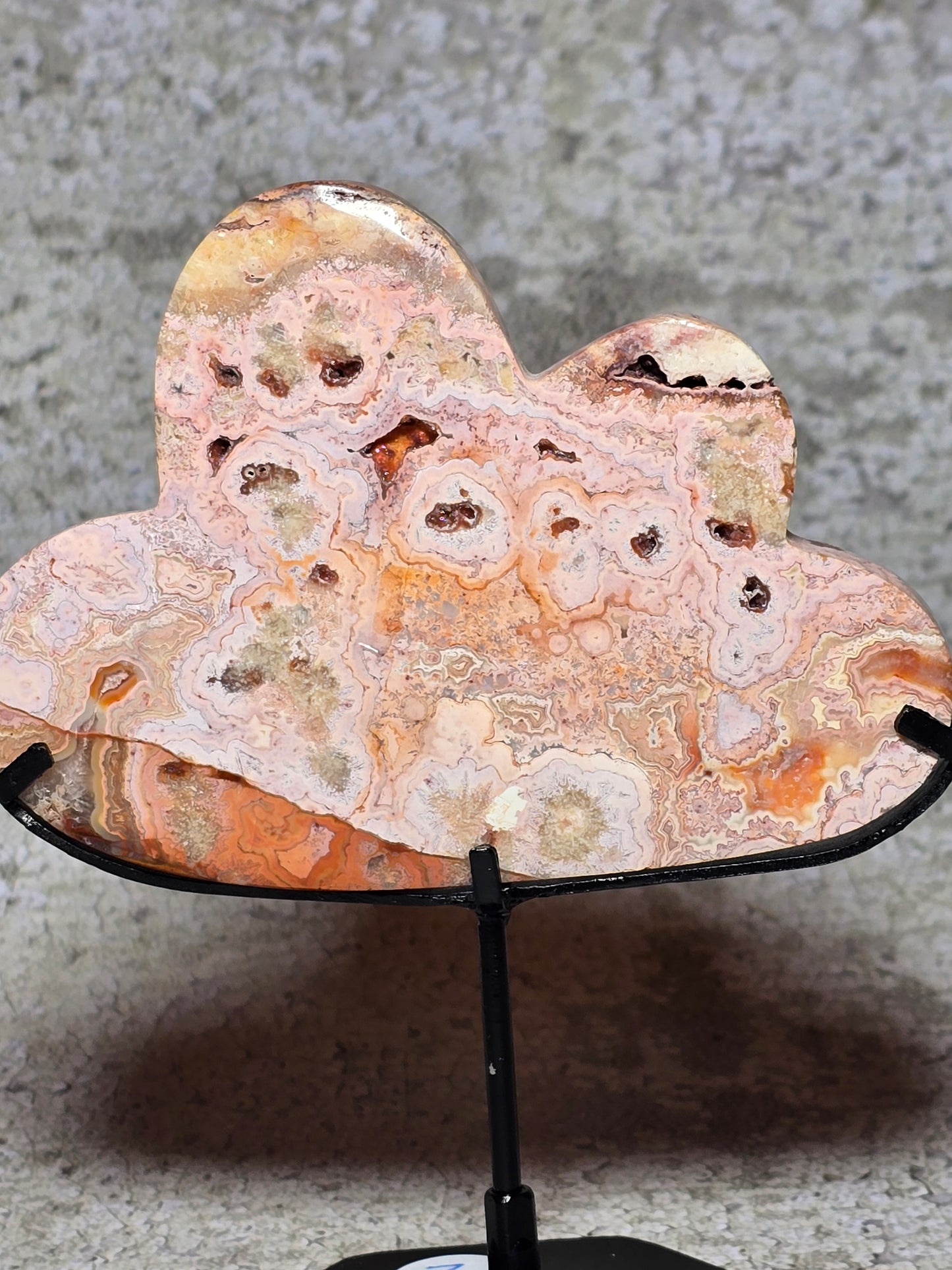 Rosa Crazy lace moln#2