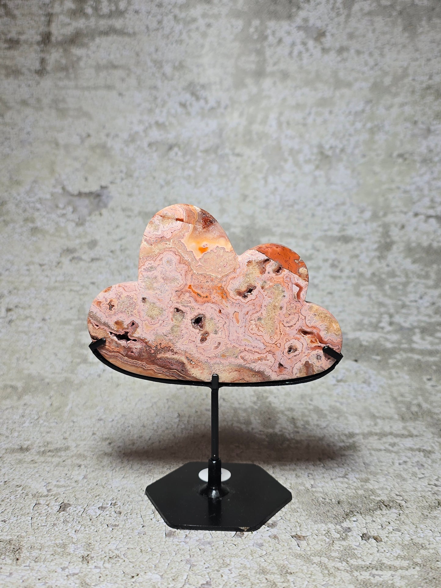 Rosa Crazy lace moln#12