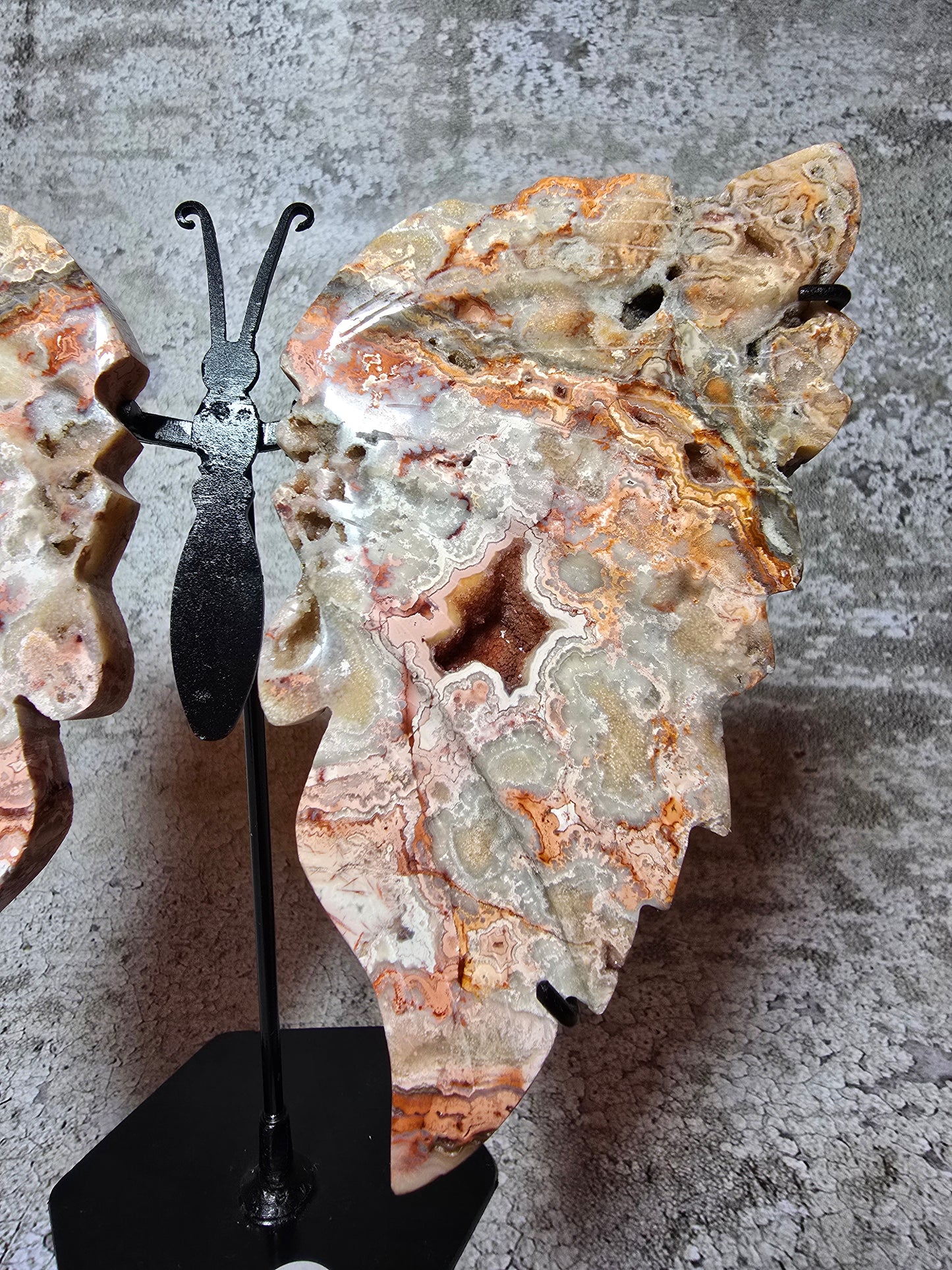 Rosa Crazy Lace Agat – Handkarvad Transformationsfjäril #16