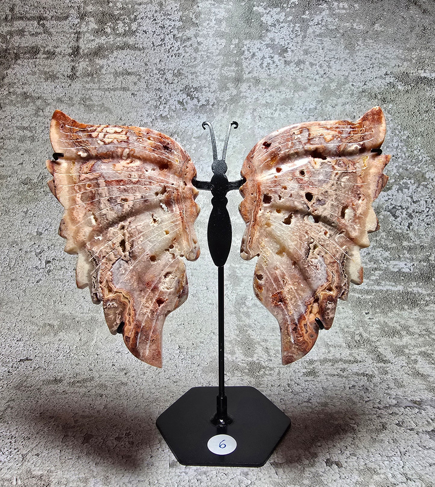 Rosa Crazy lace fjäril#6