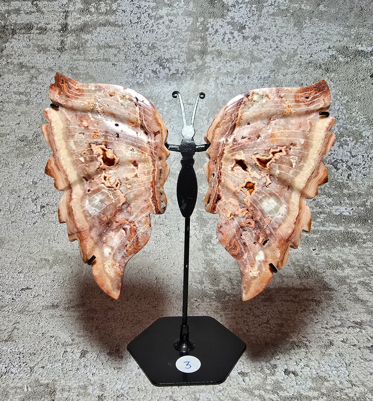 Rosa Crazy lace fjäril#3