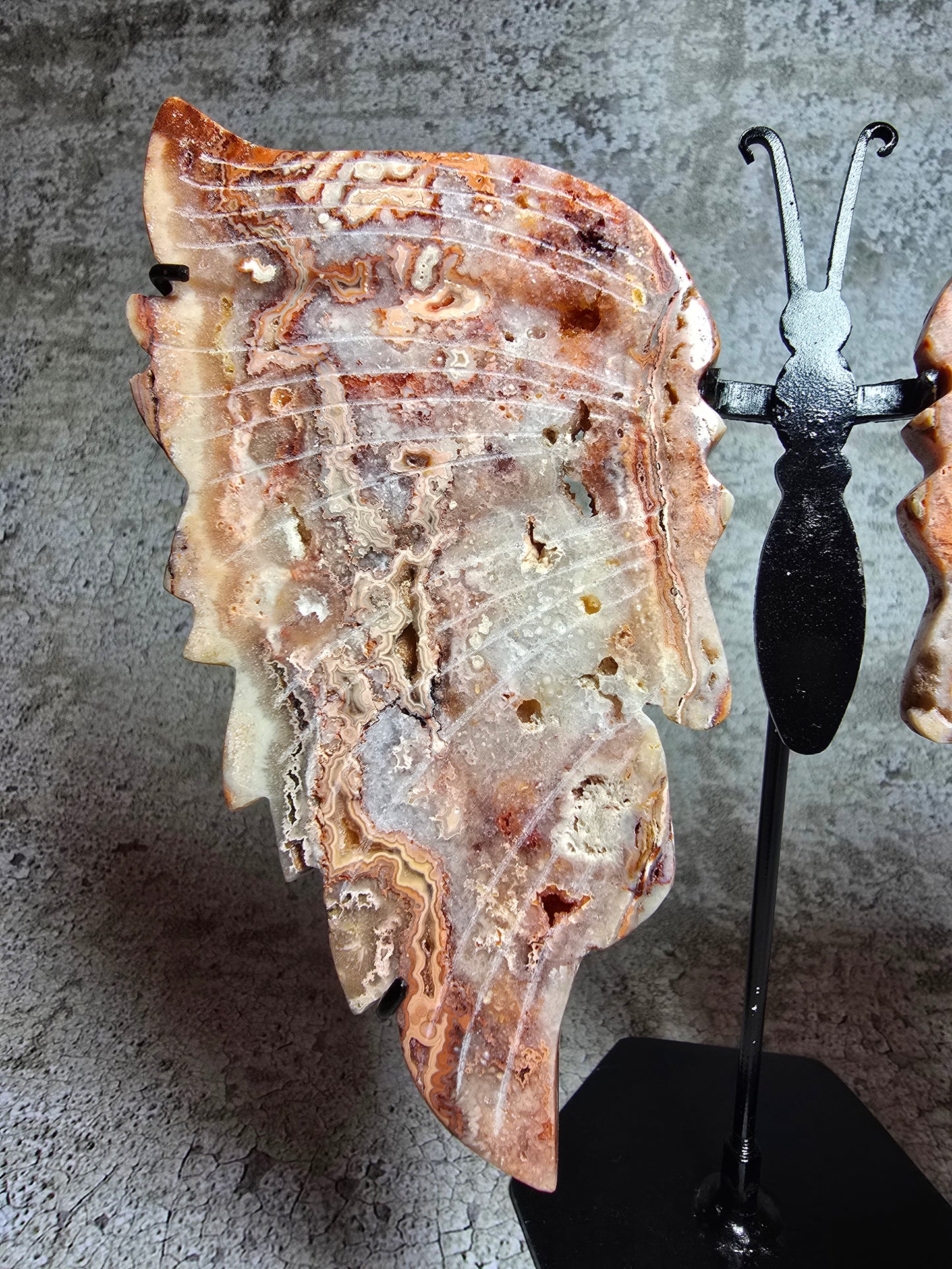 Rosa Crazy lace fjäril#6