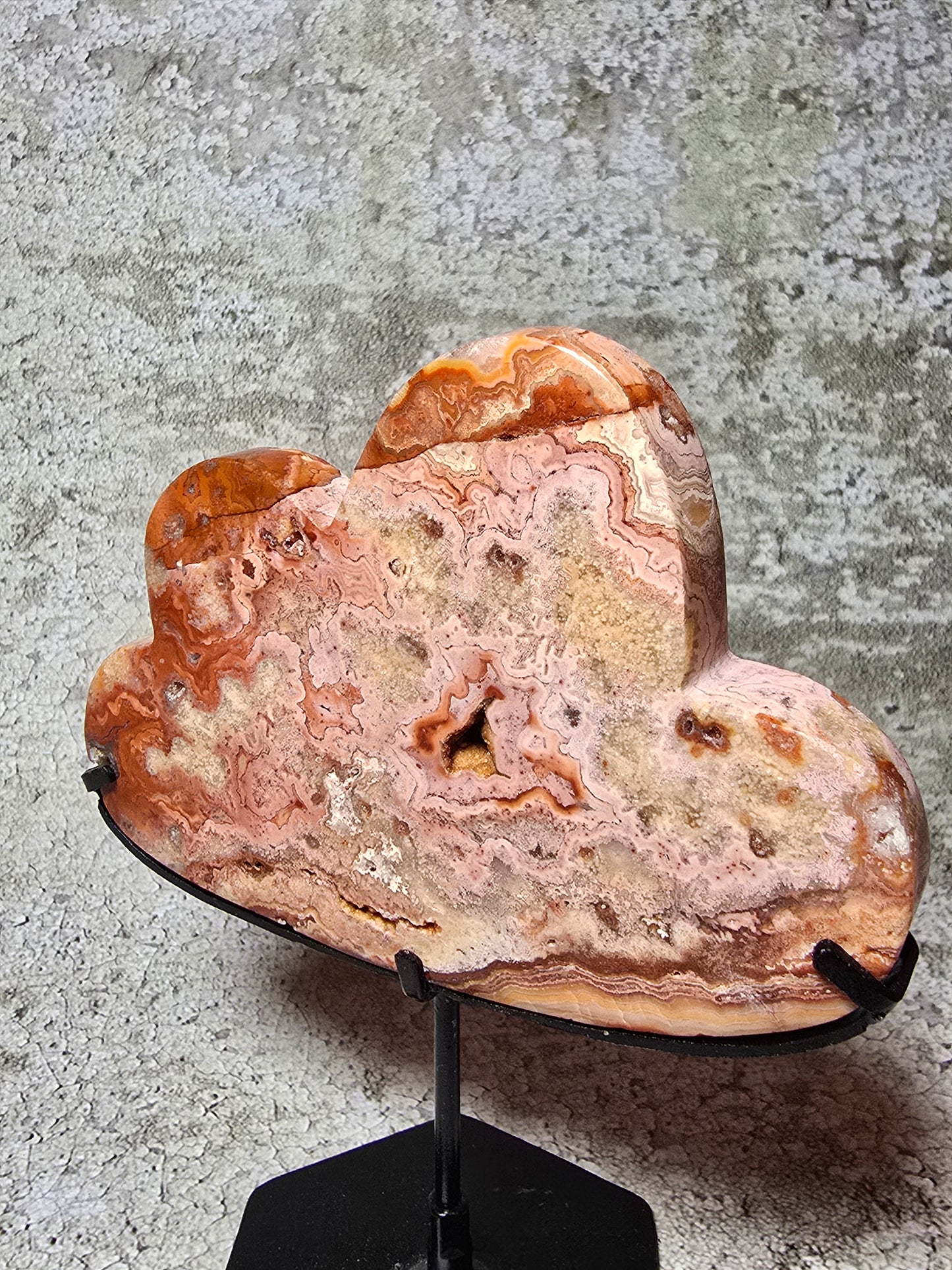 Rosa Crazy lace moln#12