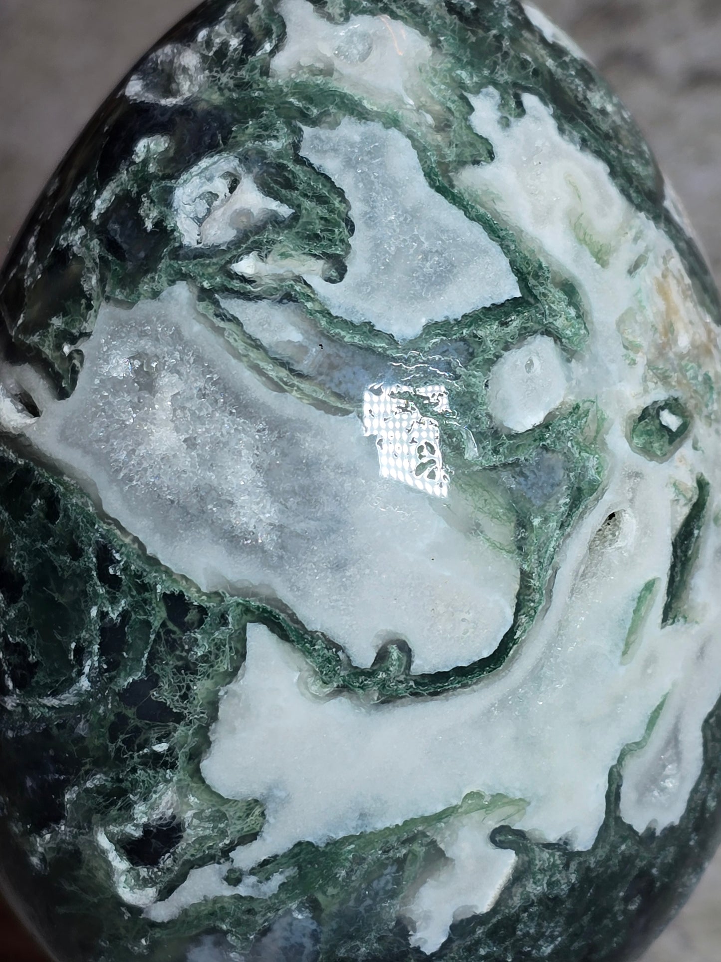 Mossagat Ägg – För Stabilitet och Nystart, D