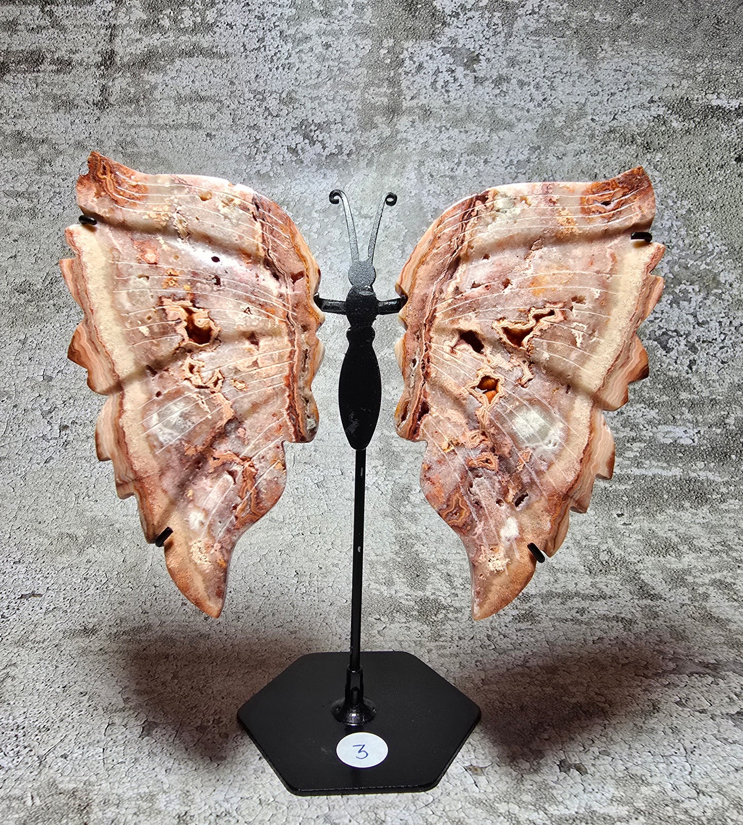 Rosa Crazy lace fjäril#3